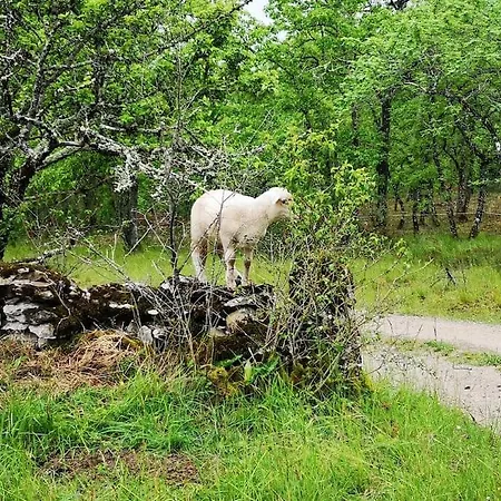 Canto Perdigal Caylus