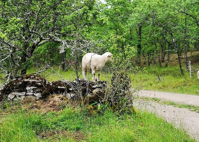 Canto Perdigal Caylus